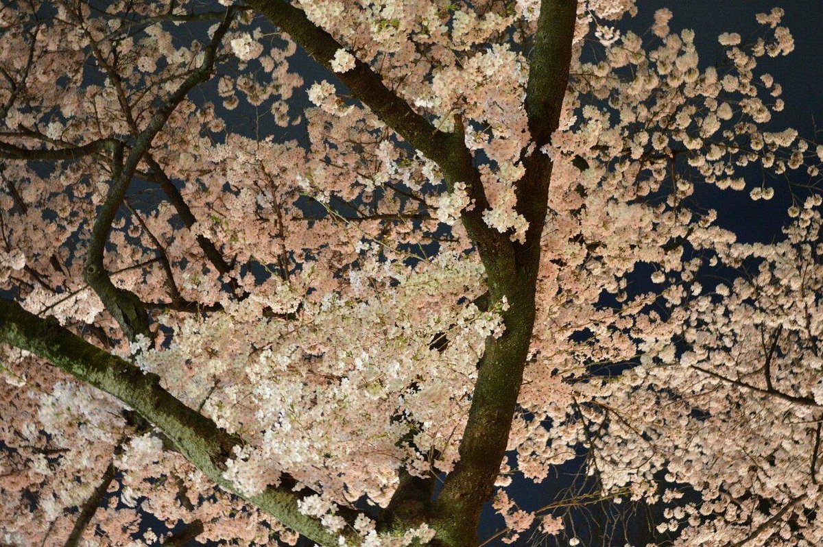 🌳 후지모리 공원 이미지 1